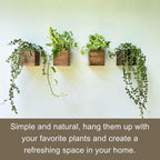 LaLaGreen Wood Planter Boxes for Plants Small Square Wall Mounted Planters for - Image 8