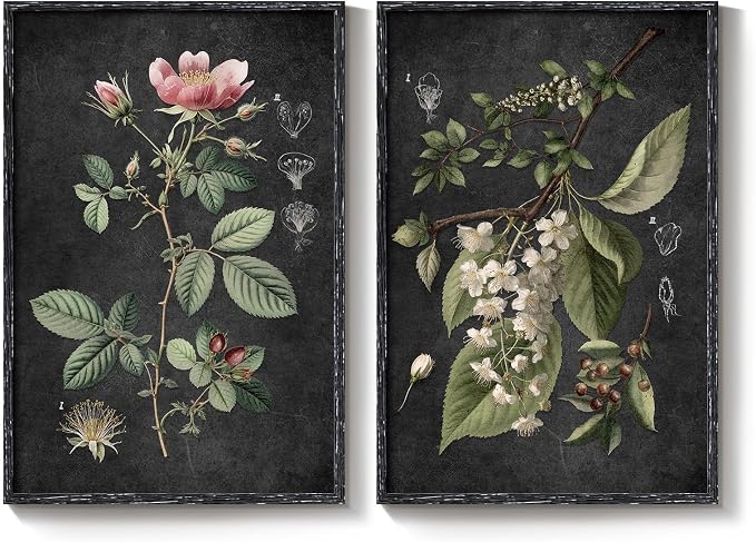 Large Framed Vintage Botanical Wall Art Set of 2, Rustic Retro Dark Floral - Image 9