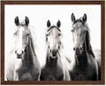 Poster Master Vintage Photograph Poster by PosterMaster