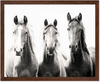 Poster Master Vintage Photograph Poster by PosterMaster