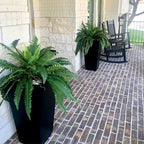 Nearly Natural 48-in Artificial Boston Fern, Large Hanging Fake Plant Wall Decor - Image 4