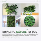 BOXSAND-12 Vertical Wall Planter - Image 8