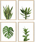 HAUS AND HUES Plant Photo Set of 4-16x20 Framed Beige by HausandHuesArtPrints