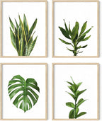 HAUS AND HUES Plant Photo Set of 4-16x20 Framed Beige by HausandHuesArtPrints