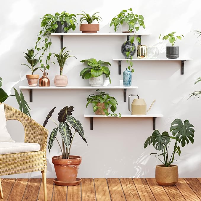 DINZI LVJ Long Wall Shelves, 31.5 x 7.9 x 6.1 Inches, Easy-to-Install, Large - Image 5