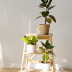 TANONE Contact Paper Peel and Stick 23.6" W X276 L, Grasscloth Wallpaper Self - Image 4