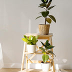 TANONE Contact Paper Peel and Stick 23.6" W X394 L, Grasscloth Wallpaper Self - Image 4
