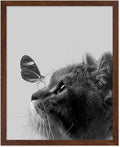 Poster Master Butterfly on Cat Print by PosterMaster