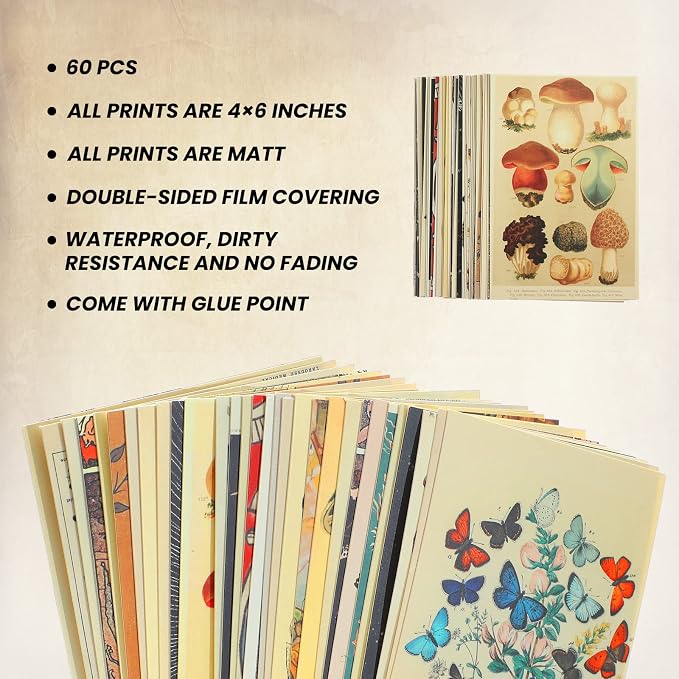 Containlol 60 Pcs Vintage Wall Collage Kit Maximalist Paintings Art Prints - Image 2