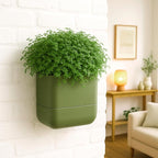 Phoenix Vine 6.5 Inch Wall Mounted Self-Watering Planter Pot - Image 7