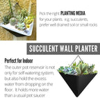 LaLaGreen Wall Planters - Image 3