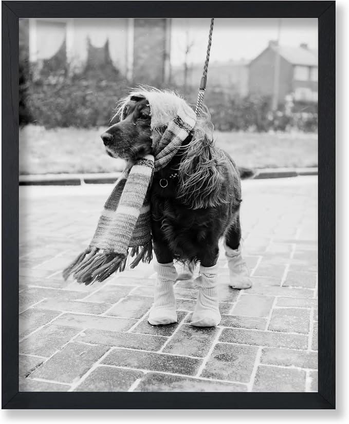 Poster Master Vintage Dog Dressed by PosterMaster