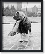 Poster Master Vintage Dog Dressed by PosterMaster