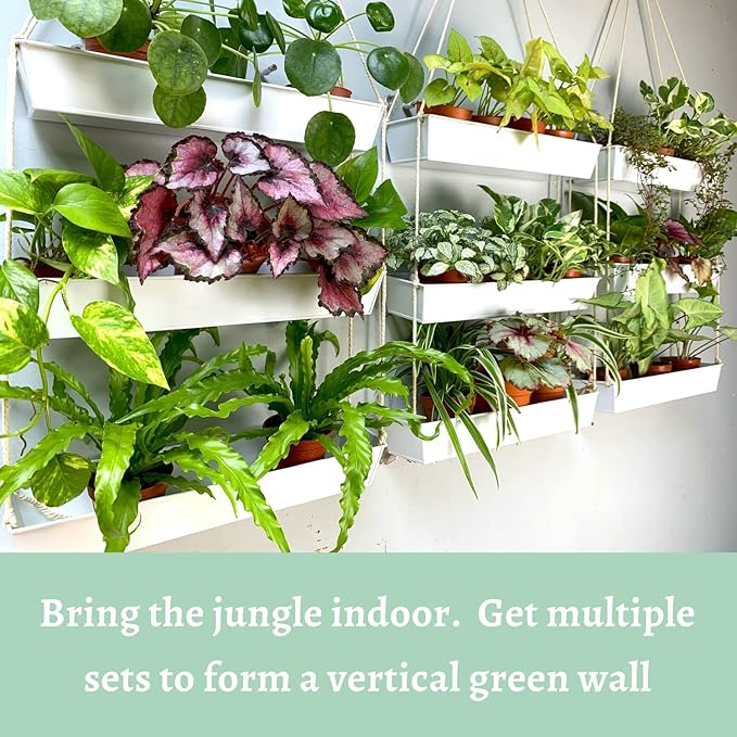 LaLaGreen Hanging Wall Planter - Image 3