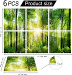 YPY Sound Proofing Panels for Walls Morning sunrise forest green trees: 6 Pack - Image 2