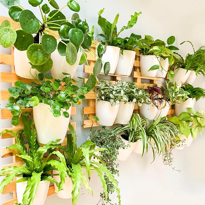 LáLáGreen Wall Planters for Indoor Plants - Image 8