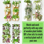 LáLáGreen Wall Planters for Indoor Plants - Image 9