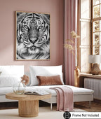 Poster Master Tiger Print - Image 6