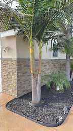 Faux Stone Wall Panels 2-Pack PU Stone Veneer Siding, Mortarless 46.25x12.88 - Image 2
