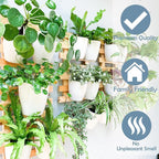 LaLaGreen Wall Mounted Planters - Image 9