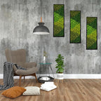 yersiz Large Moss Pattern Wall Art, Real Moss Wall Art - Image 7