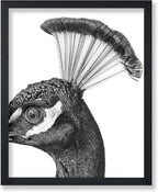 Poster Master Vintage Peacock Poster by PosterMaster