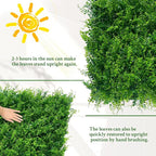 ODTORY Artificial Plants Hedge Wall Panels：54x120 Inch UV-Anti Greenery Boxwood - Image 7