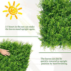 ODTORY Artificial Plants Hedge Wall Panels：20x20 Inch 12P UV-Anti Greenery - Image 7