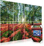 Mollywell Art Acoustic Panels, Sound Proofing, Wall Decoration, Suitable by Mollywell