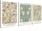 Induslyfe Framed Flower Wall Art Canvas Decor Set of 3, William Morris Framed by Induslyfe