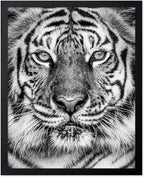 Poster Master Vintage Tiger Face Print by PosterMaster