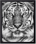 Poster Master Vintage Tiger Face Print by PosterMaster