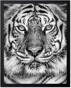 Poster Master Vintage Tiger Face Print by PosterMaster
