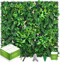 Artificial Grass Wall Panels 20"x20", Hedge Green Wall Decor Backdrop, UV-Anti by Unknown