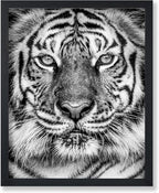 Poster Master Tiger Print by PosterMaster