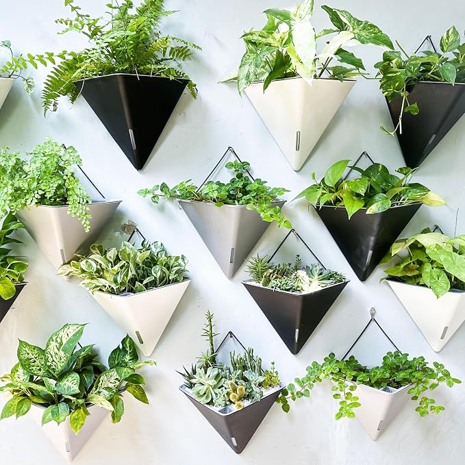 LaLaGreen Succulent Wall Planters - Image 8
