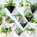 LaLaGreen Wall Planters for Indoor Plants - Image 8