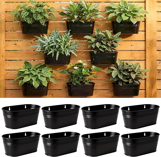 LaLaGreen Wall Planter Black Oval Metal Hanging Decor Plant Holder Indoor Wall by L%C3%A1L%C3%A1Green