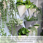 LaLaGreen Wall Planters for Indoor Plants - Image 8