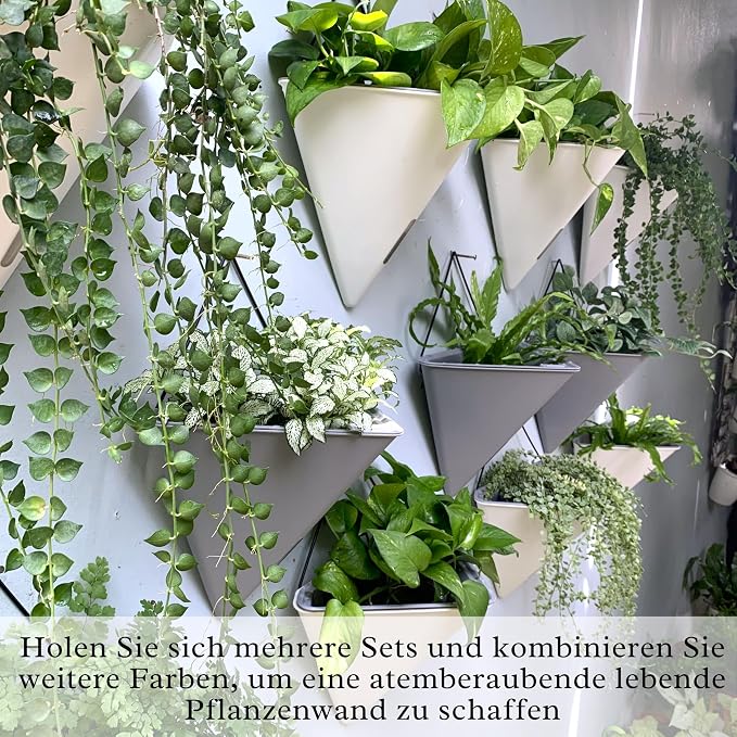 LaLaGreen Wall Planters for Indoor Plants - Image 7