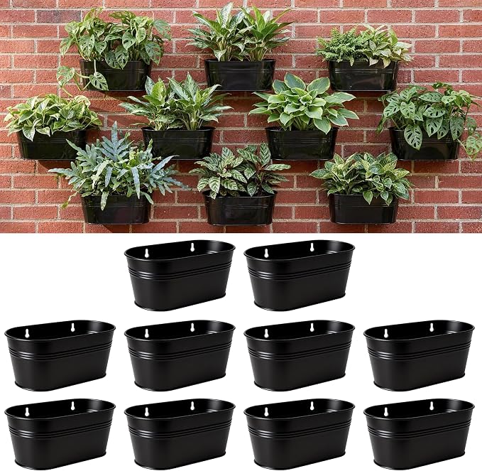 LaLaGreen Wall Planter Black Metal Wall Hanging Decor by L%C3%A1L%C3%A1Green
