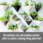 LaLaGreen Wall Planters - Image 7