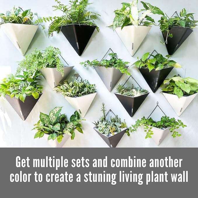 LaLaGreen Wall Planters - Image 7