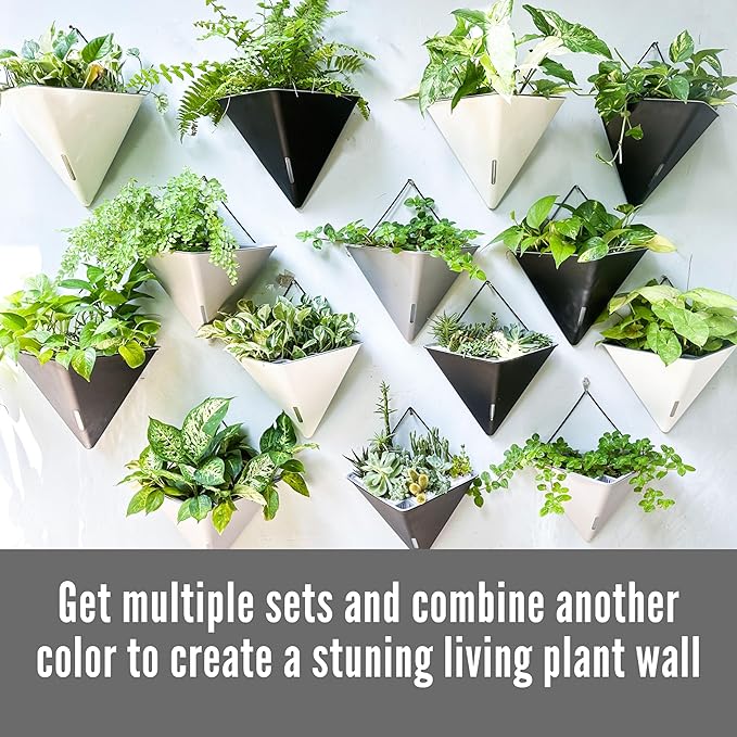 LaLaGreen Wall Planters for Indoor Plants - Image 7