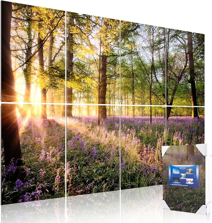 Mollywell Art Acoustic Panels, Sound Proofing, Wall Decoration, Suitable by Mollywell