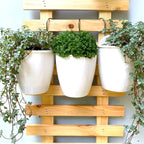 LáLáGreen Wall Planters for Indoor Plants - Image 7