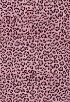 Leopard Print Peel and Stick Wallpaper, Waterproof Removable Self Adhesive by wallpaper