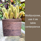 LaLaGreen Wood Planter Box for Plants Small Square Wall Planters for Indoor - Image 6