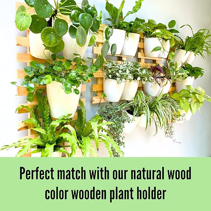 LaLaGreen Wall Mounted Planters - Image 4