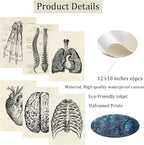 Ohhvvow Human Anatomy Artwork Medical Wall Art Canvas, 12 * 18 Inch Muscle - Image 2